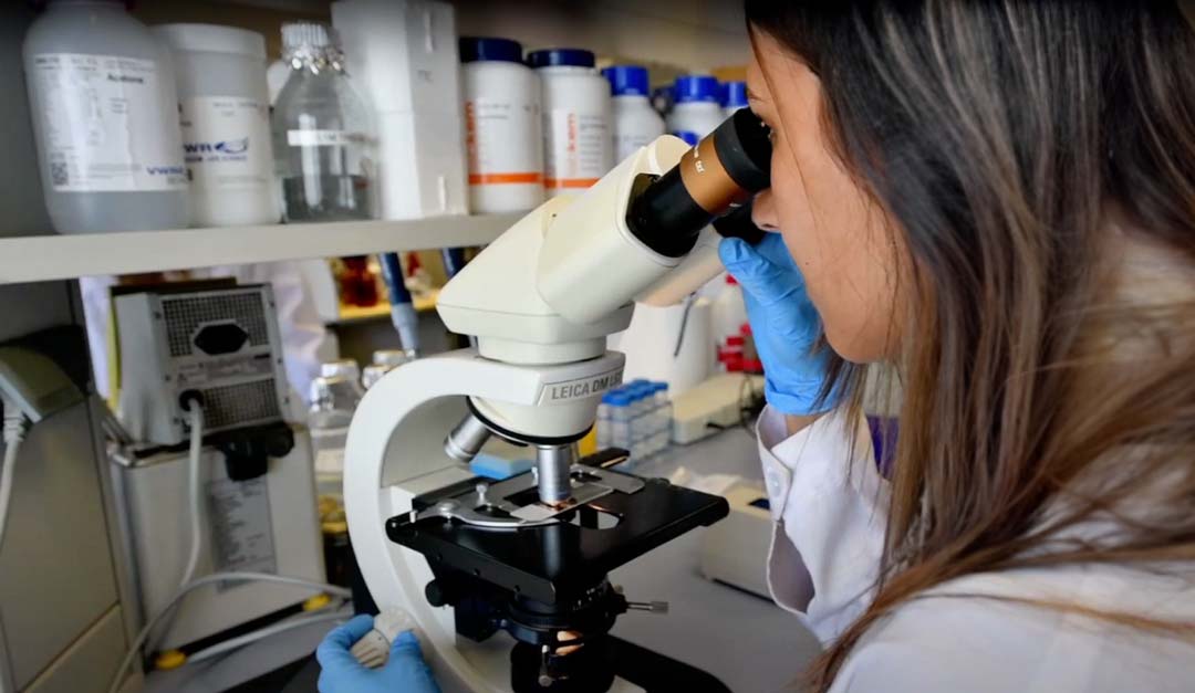 Programa de prácticas foto