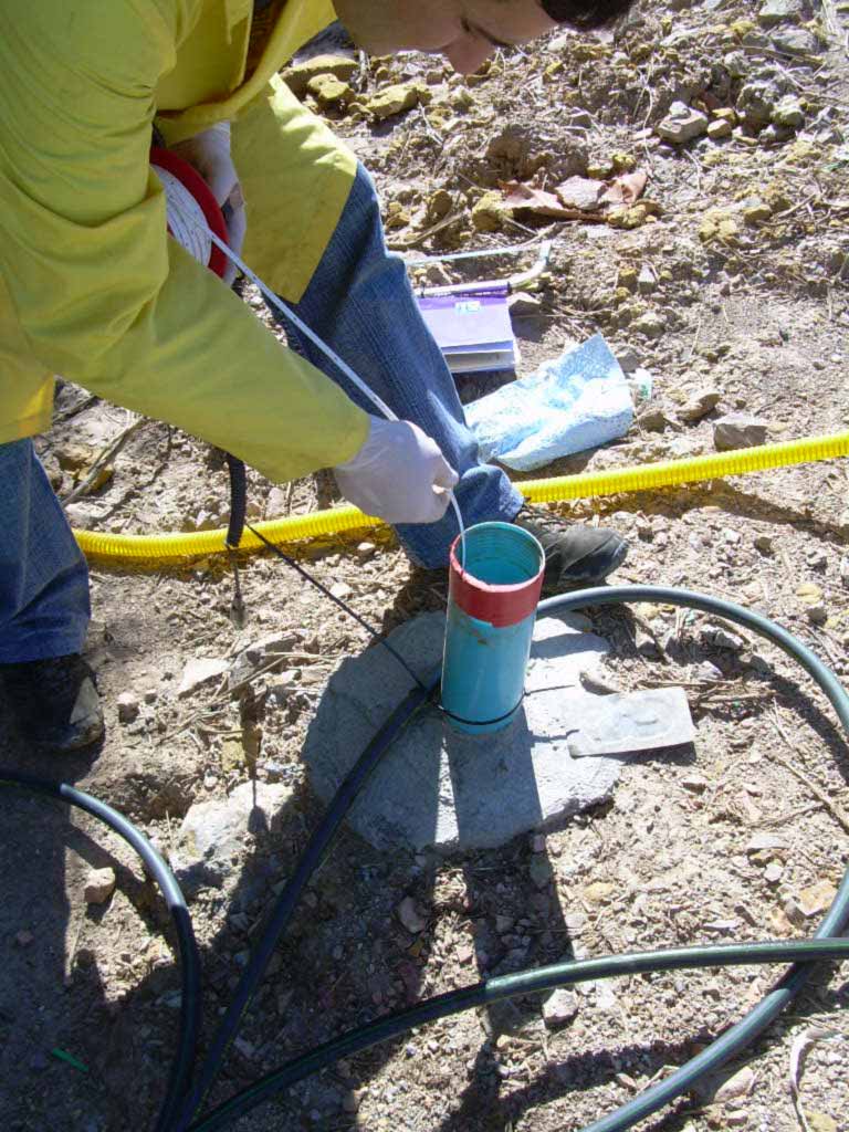 Study or Diagnostic Phase