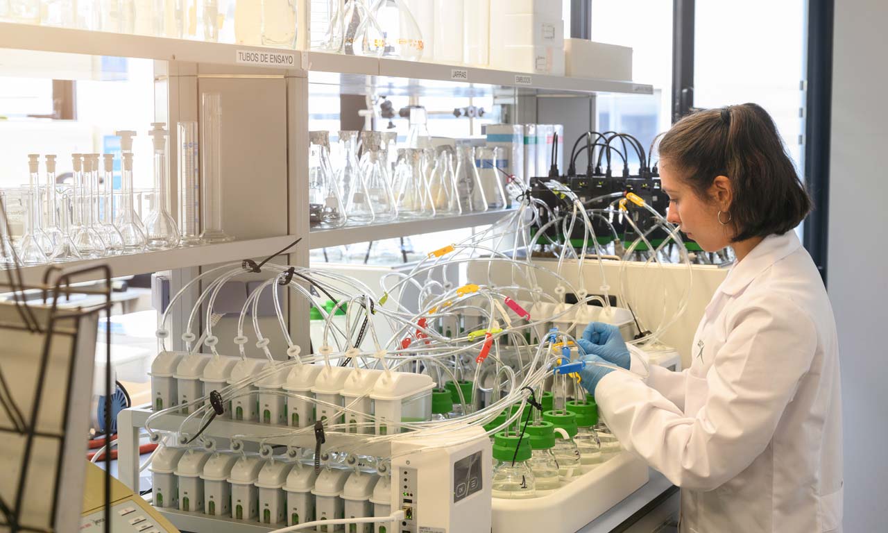 Estimación del potencial