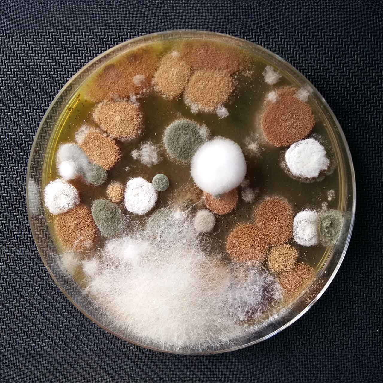 Laboratorio medioambiente