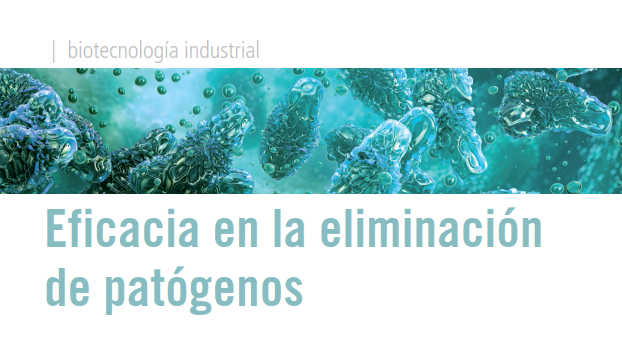 Comparación entre pasteurización, compostaje y digestión anaerobia: Una revisión basada en la evidencia